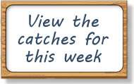 Ythan Salmon and Sea Trout Fishery - View the catches for this week